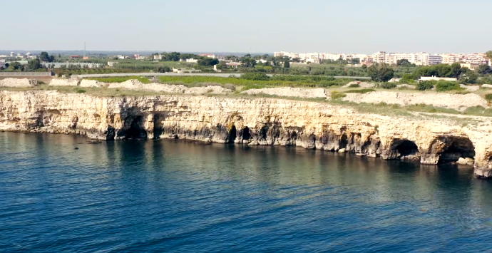 Bisceglie Emesso Divieto Temporaneo Di Balneazione Per Alga Tossica In